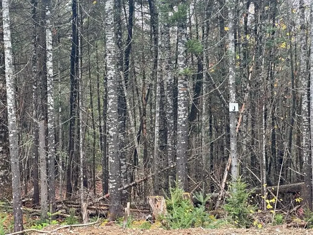 Lot ''N'' S Whitetail Way Greenville ME 04441