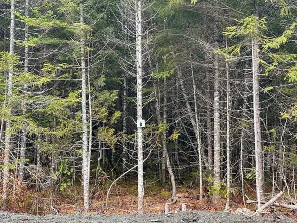 Lot ''N'' S Whitetail Way Greenville ME 04441