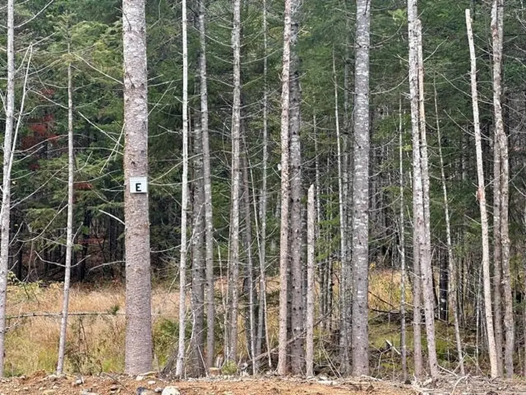 Lot ''N'' S Whitetail Way Greenville ME 04441