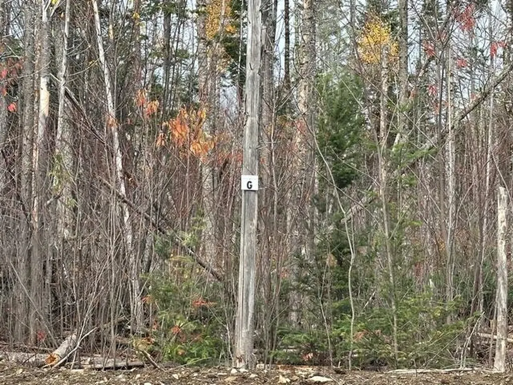 Lot ''N'' S Whitetail Way Greenville ME 04441