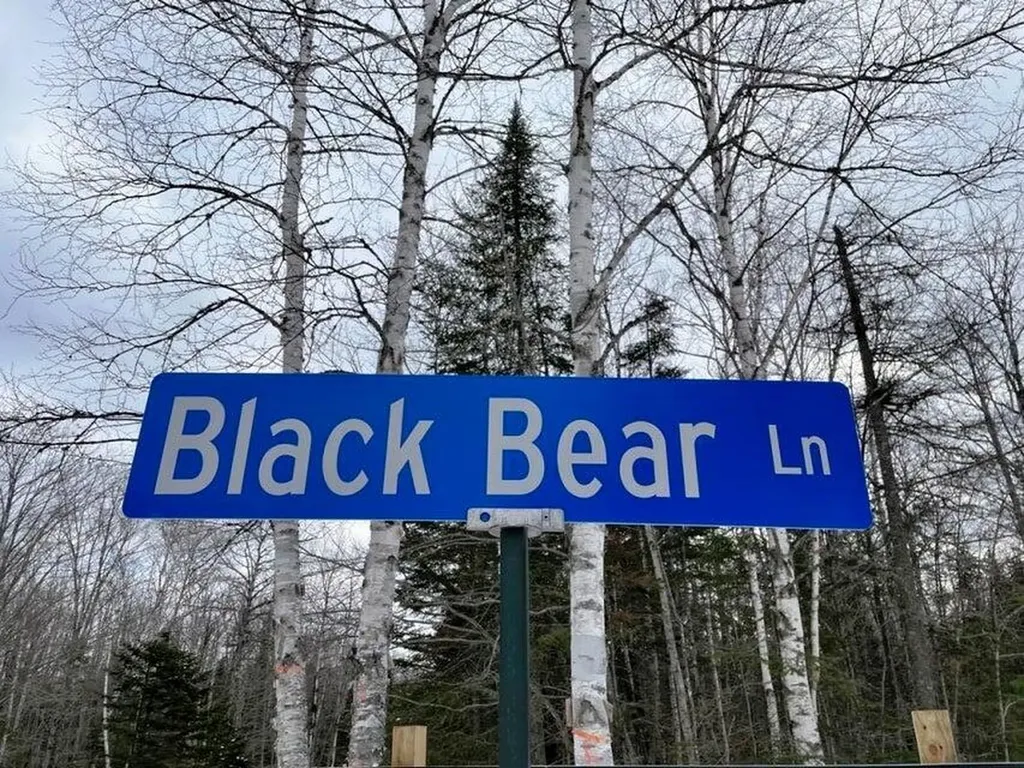 Lot ''N'' S Whitetail Way Greenville ME 04441