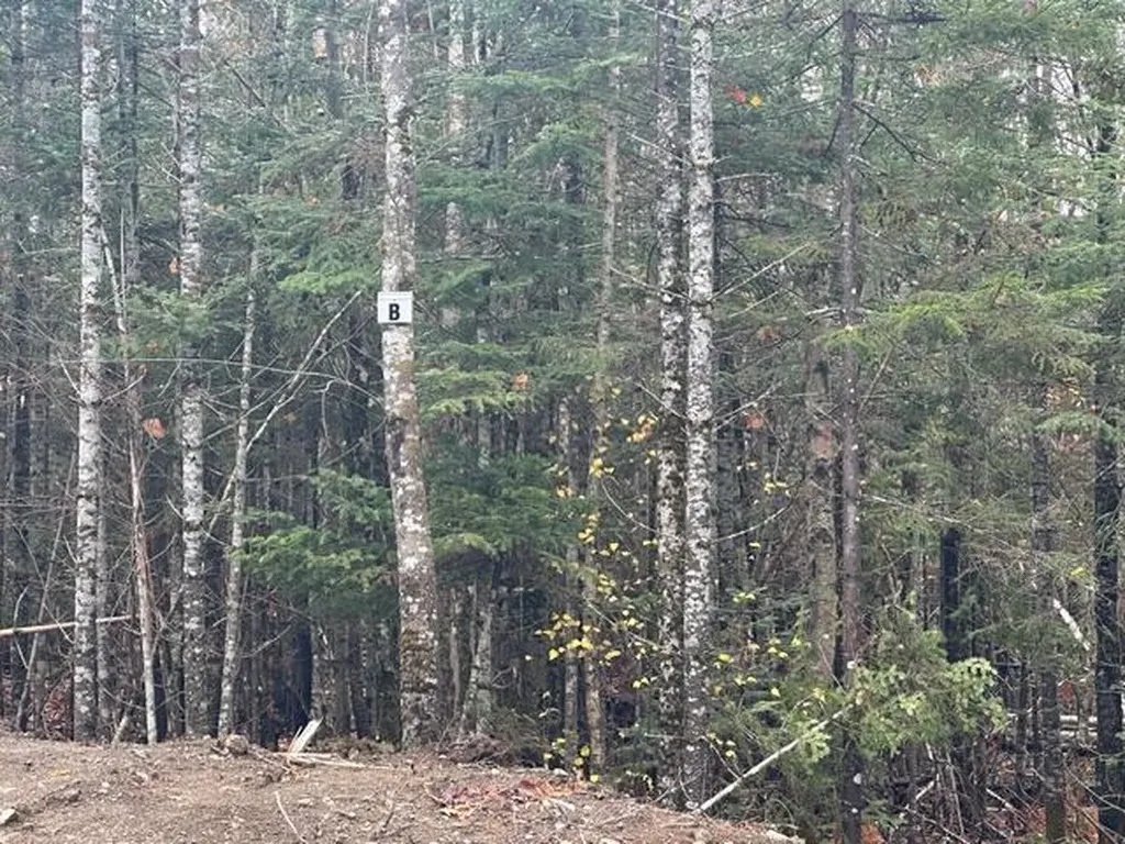 Lot ''N'' S Whitetail Way Greenville ME 04441