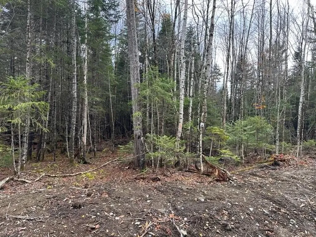 Lot ''N'' S Whitetail Way Greenville ME 04441