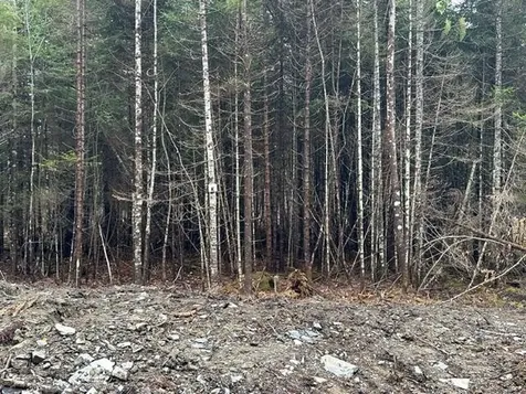 Lot ''N'' S Whitetail Way Greenville ME 04441