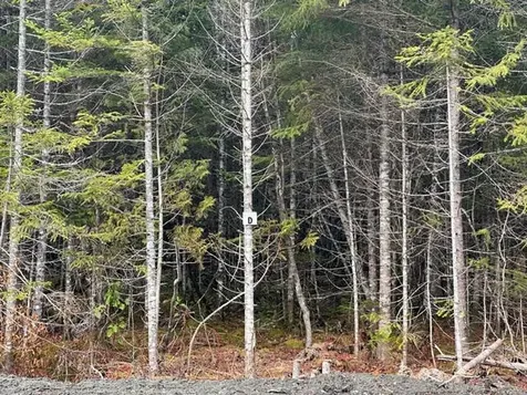 Lot ''N'' S Whitetail Way Greenville ME 04441