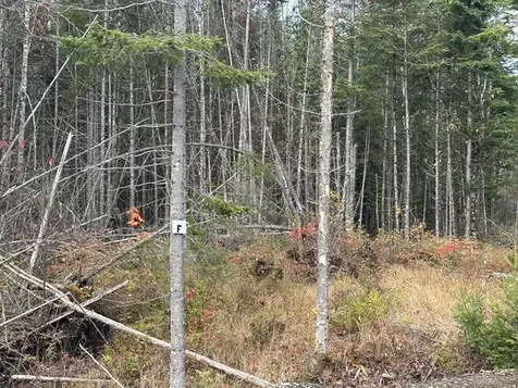 Lot ''N'' S Whitetail Way Greenville ME 04441