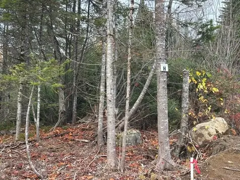 Lot ''N'' S Whitetail Way Greenville ME 04441