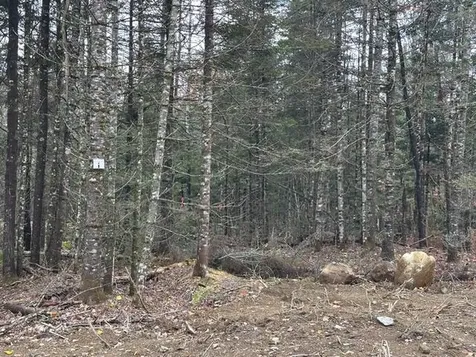 Lot ''N'' S Whitetail Way Greenville ME 04441