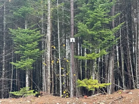 Lot ''N'' S Whitetail Way Greenville ME 04441