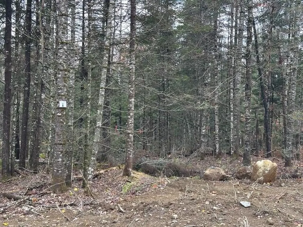 Lot C S Whitetail Way Greenville ME 04441