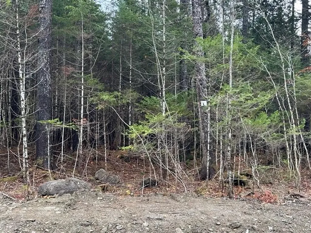 Lot C S Whitetail Way Greenville ME 04441