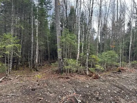 Lot C S Whitetail Way Greenville ME 04441