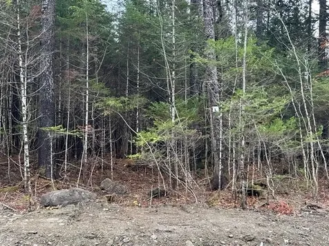 Lot C S Whitetail Way Greenville ME 04441