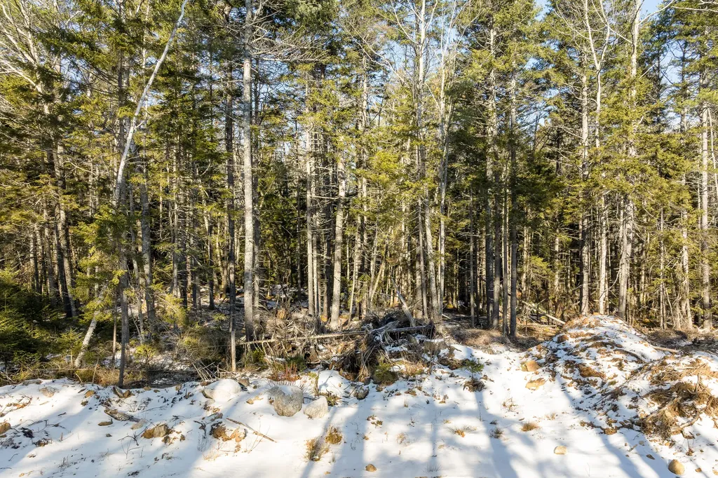 Map 004 Lot 089-03 Bristol ME 04558