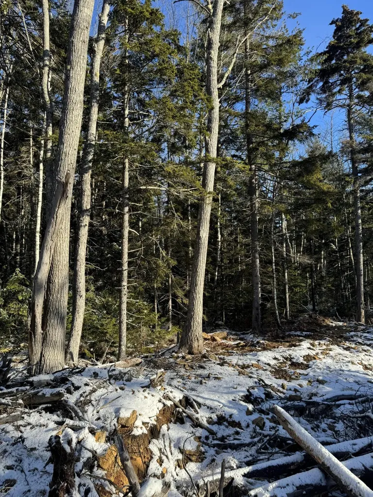 Map 004 Lot 089-03 Bristol ME 04558