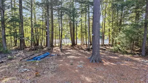 124 Dead Stream Road Lincoln ME 04457