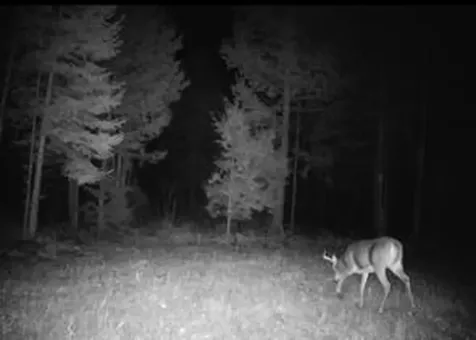 Tbd Woodville Road Chester ME 04457