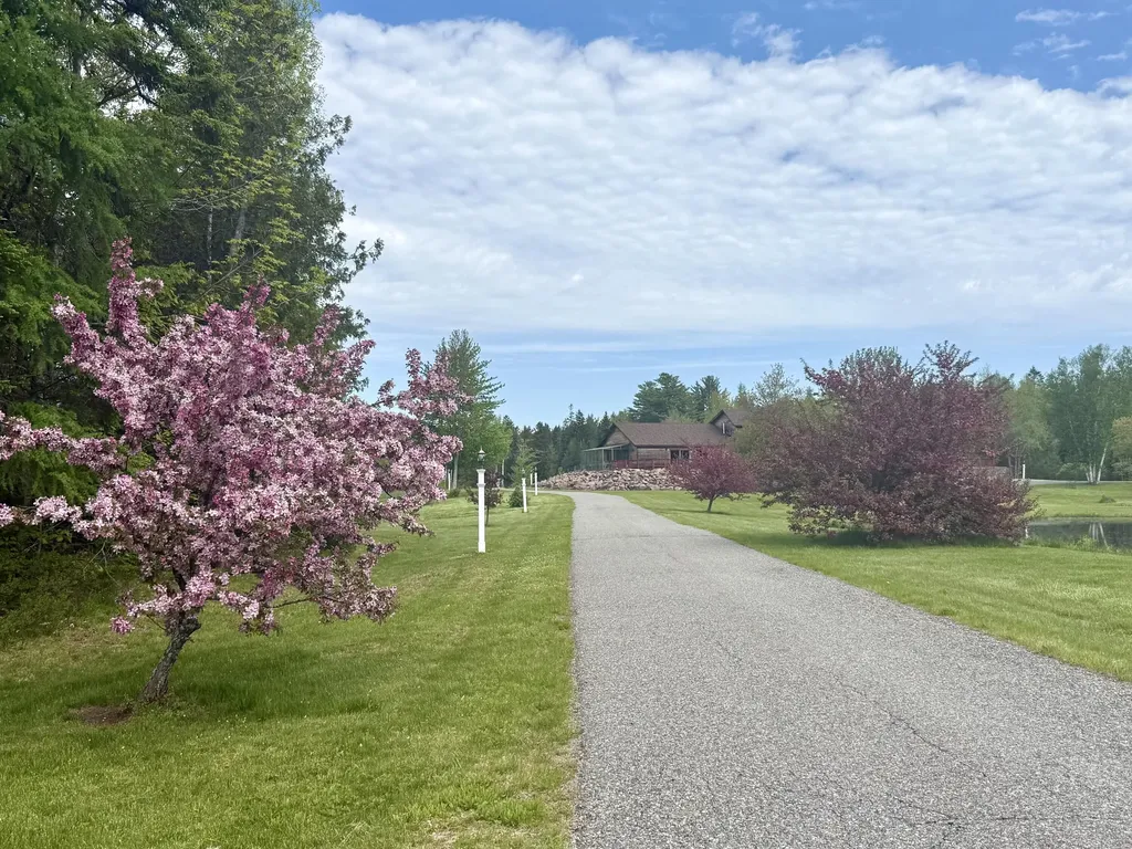 12 Morgan Road Pembroke ME 04666