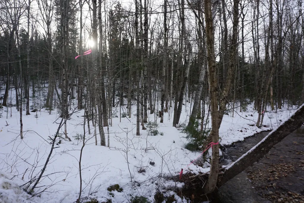 M13L18A-1 Redding Road Woodstock ME 04219