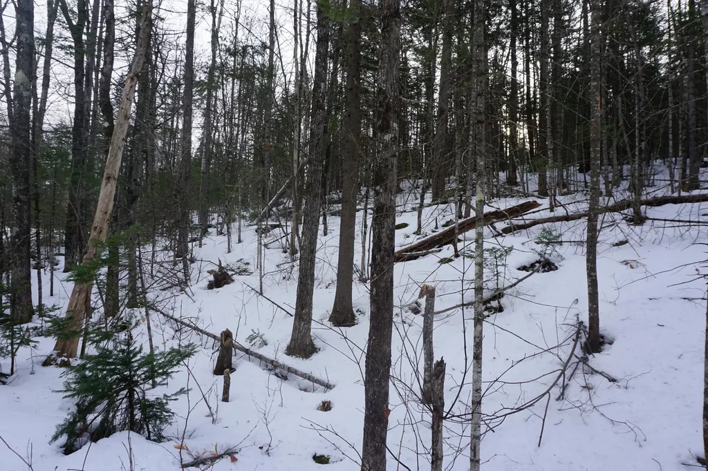 M13L18A-1 Redding Road Woodstock ME 04219