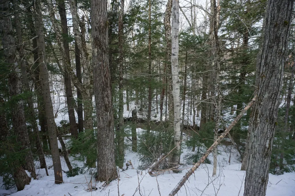 M13L18A-1 Redding Road Woodstock ME 04219