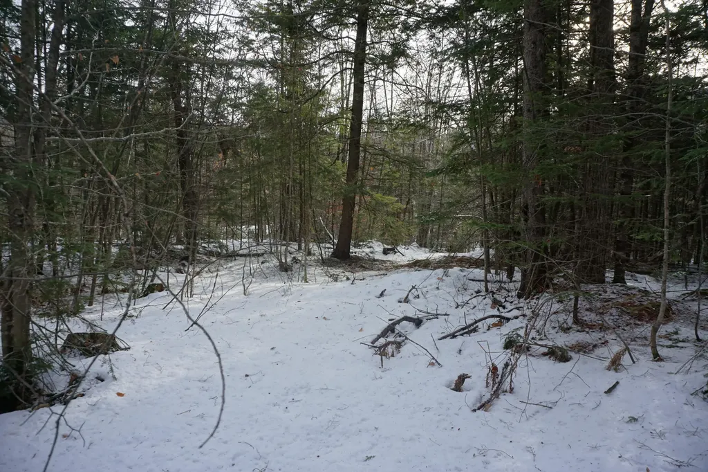 M13L18A-1 Redding Road Woodstock ME 04219