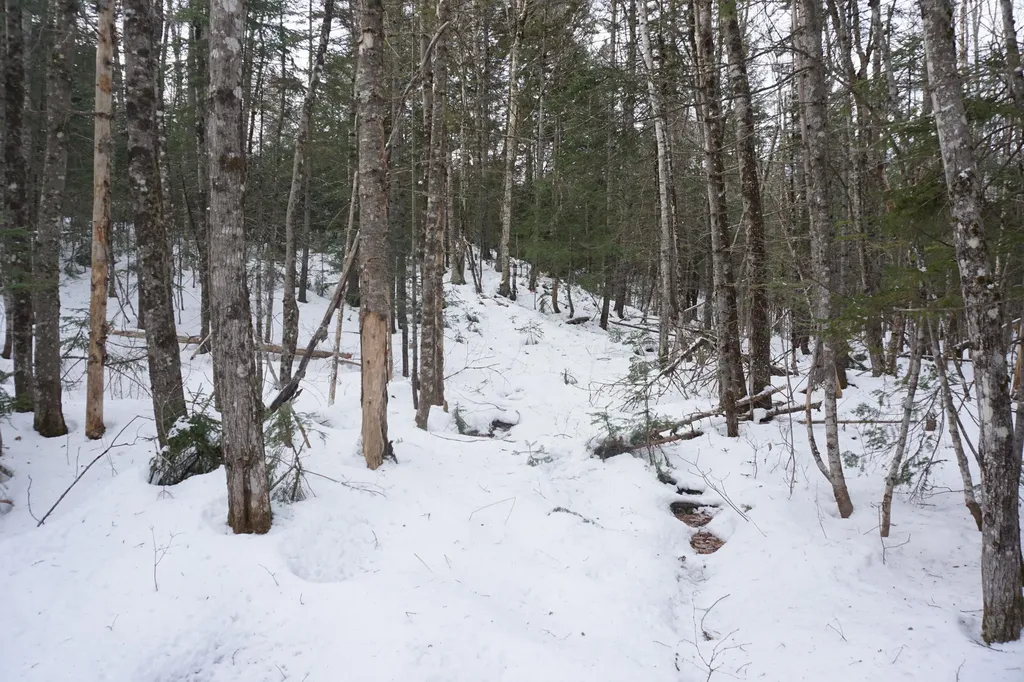 M13L18A-1 Redding Road Woodstock ME 04219