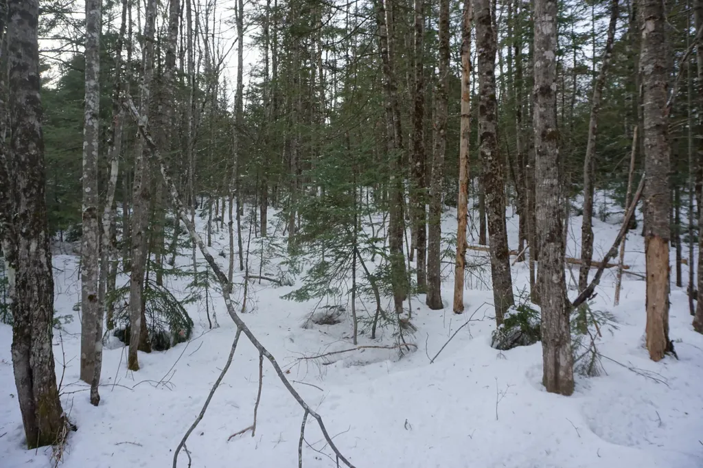 M13L18A-1 Redding Road Woodstock ME 04219