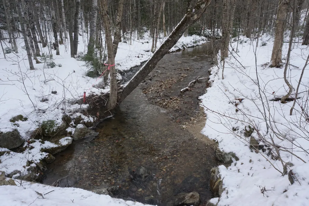 M13L18A-1 Redding Road Woodstock ME 04219