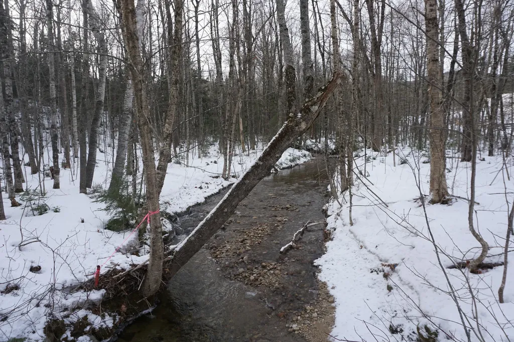 M13L18A-1 Redding Road Woodstock ME 04219