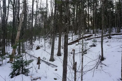 M13L18A-1 Redding Road Woodstock ME 04219