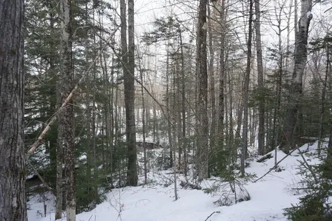 M13L18A-1 Redding Road Woodstock ME 04219