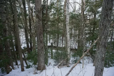 M13L18A-1 Redding Road Woodstock ME 04219
