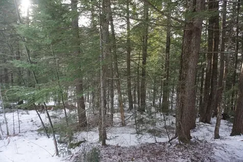 M13L18A-1 Redding Road Woodstock ME 04219