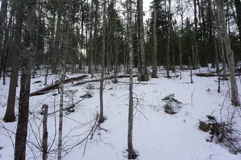 M13L18A-1 Redding Road Woodstock ME 04219