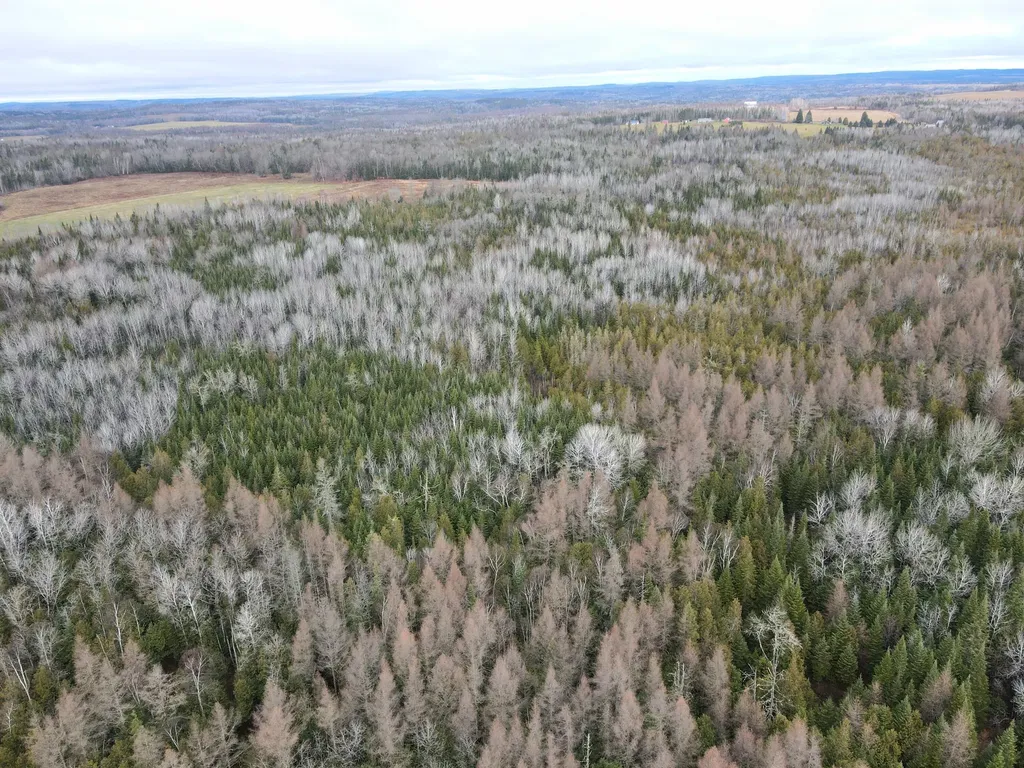481 Plante Road Caribou ME 04736