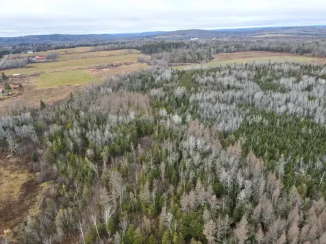 481 Plante Road Caribou ME 04736