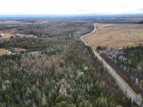 481 Plante Road Caribou ME 04736
