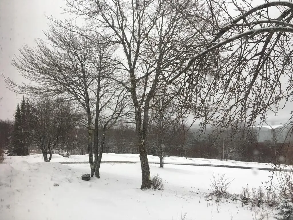 124 Gray Road Sangerville ME 04479