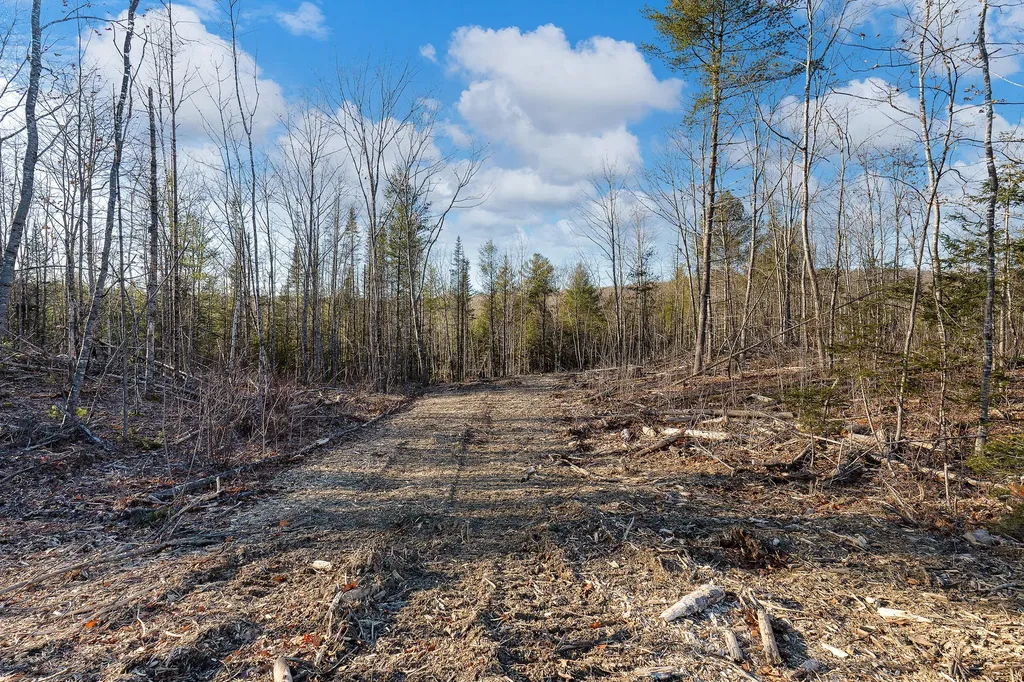 Lot 4 Pine Hill Road Palermo ME 04354