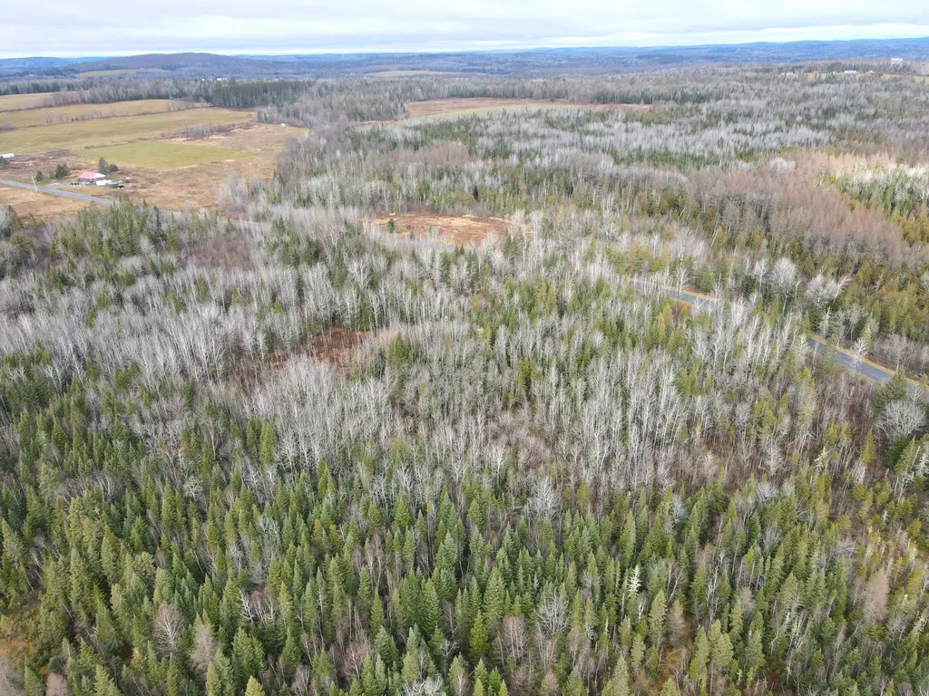 480 Plante Road Caribou ME 04736