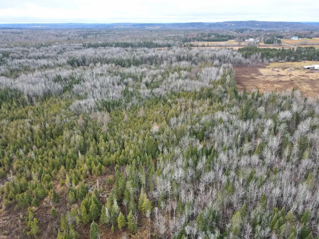 480 Plante Road Caribou ME 04736