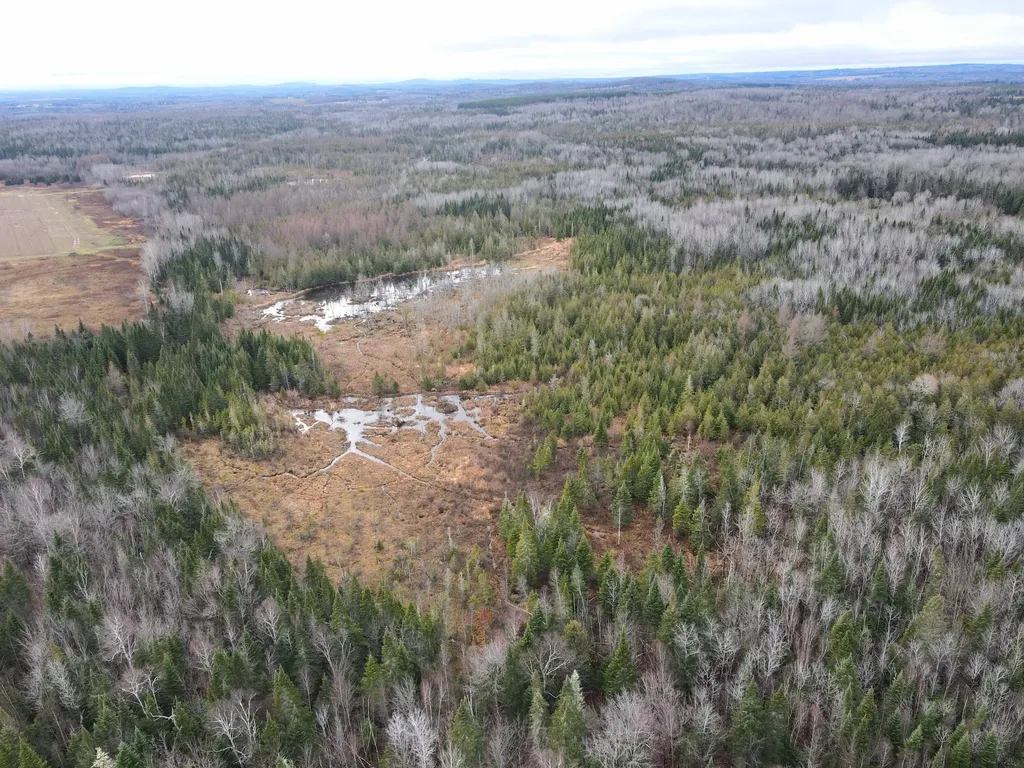480 Plante Road Caribou ME 04736