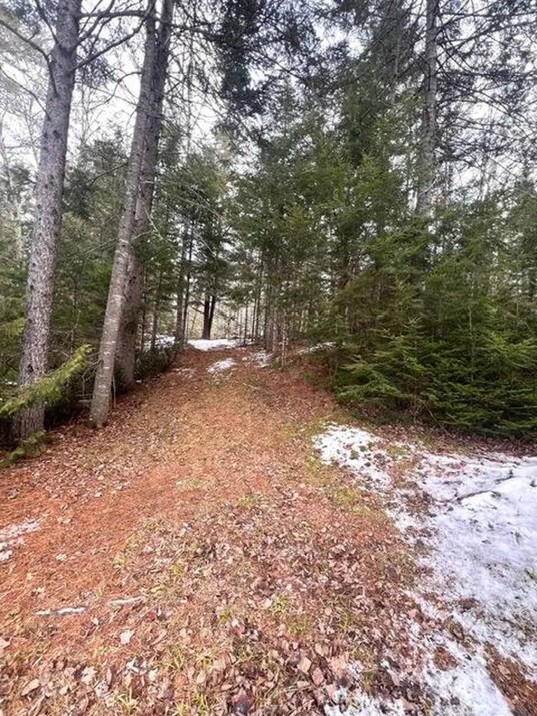 15 Hunter Pond Road Linneus ME 04730