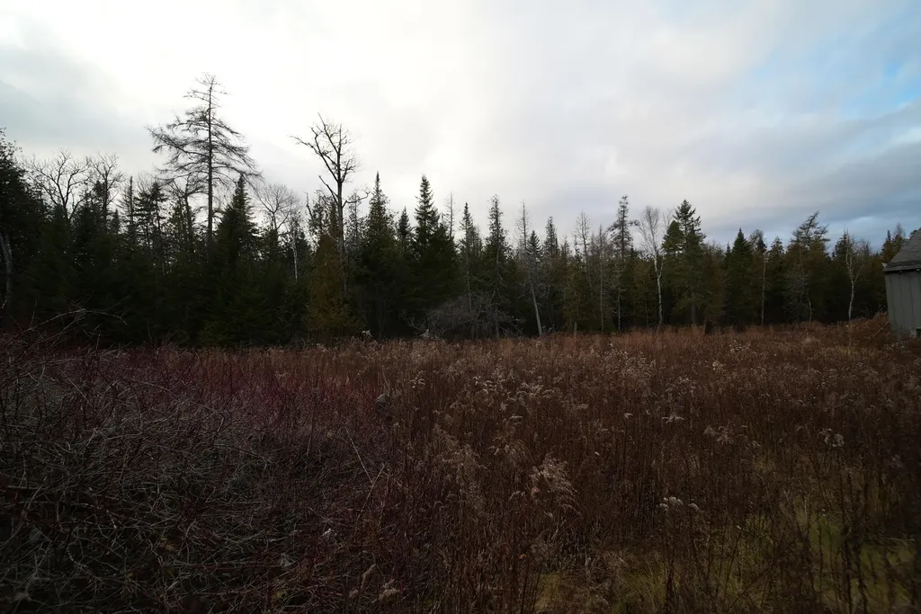 228 U.s. Route 1 Bridgewater ME 04735