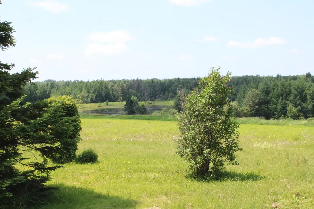 385 Carson Road Woodland ME 04736