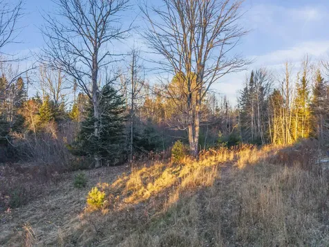 Lot A + B Reef Road Waldoboro ME 04572