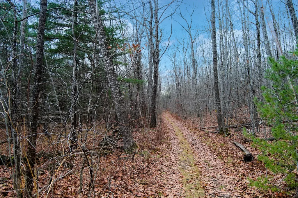 Lot 151 Dunbar Road Thomaston ME 04861