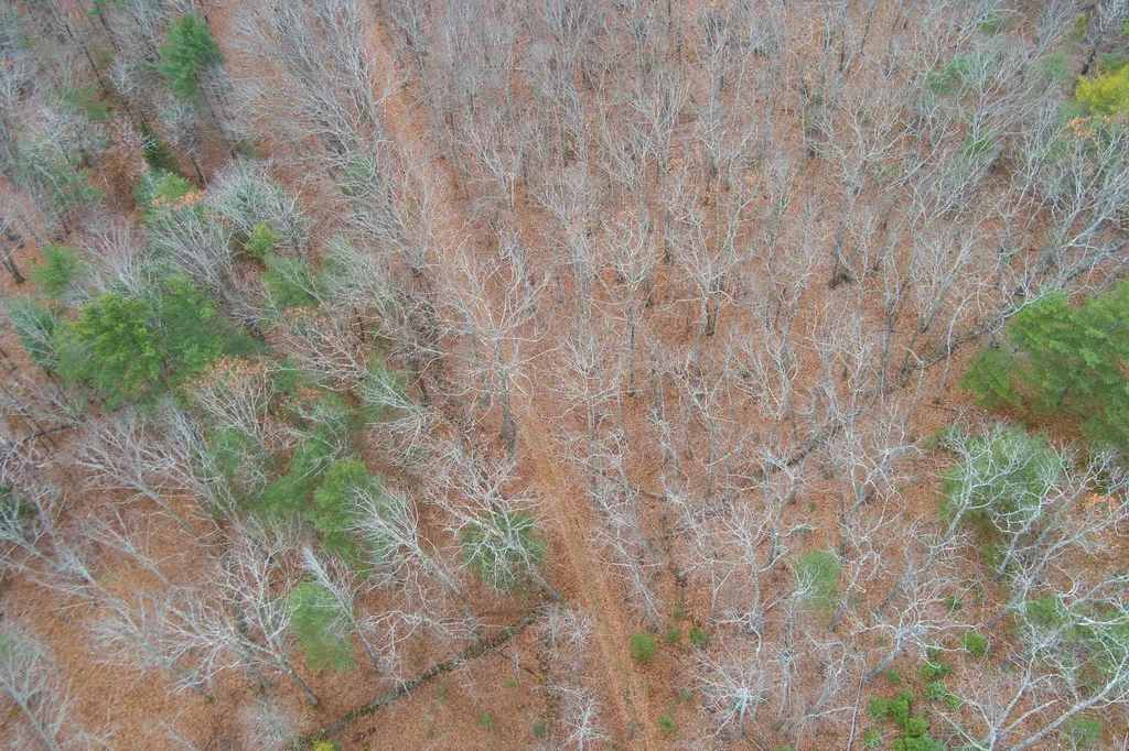 Lot 151 Dunbar Road Thomaston ME 04861