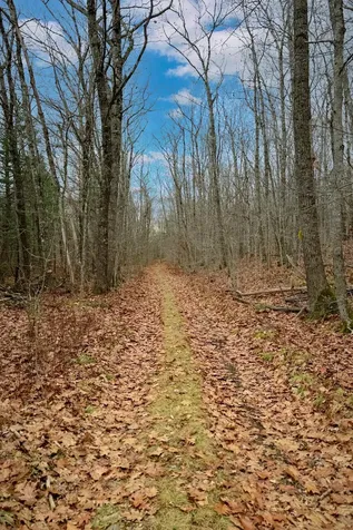 Lot 151 Dunbar Road Thomaston ME 04861